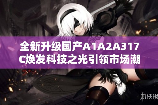 全新升级国产A1A2A317C焕发科技之光引领市场潮流