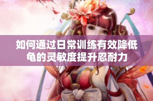 如何通过日常训练有效降低龟的灵敏度提升忍耐力
