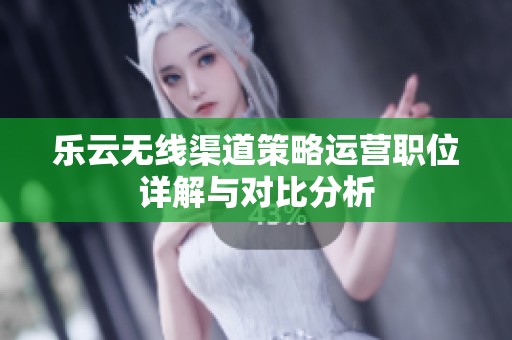 乐云无线渠道策略运营职位详解与对比分析