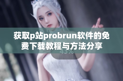 获取p站probrun软件的免费下载教程与方法分享