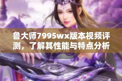 鲁大师7995wx版本视频评测，了解其性能与特点分析