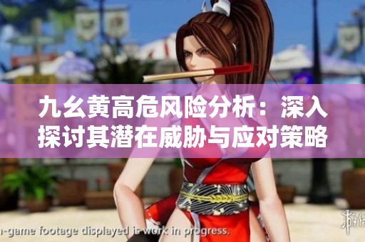 九幺黄高危风险分析：深入探讨其潜在威胁与应对策略