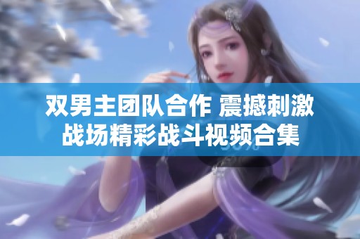 双男主团队合作 震撼刺激战场精彩战斗视频合集