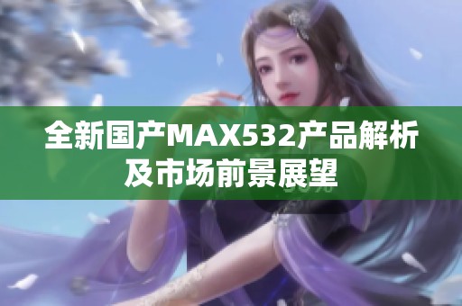 全新国产MAX532产品解析及市场前景展望