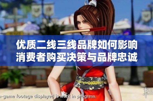 优质二线三线品牌如何影响消费者购买决策与品牌忠诚度