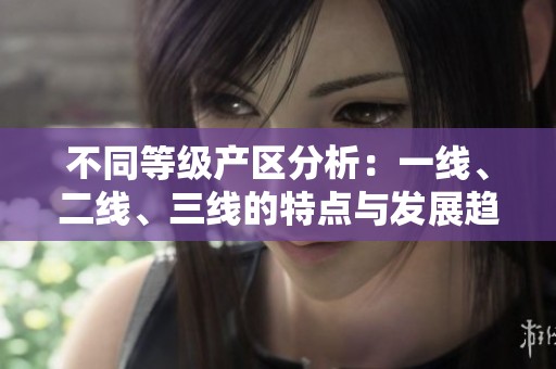 不同等级产区分析：一线、二线、三线的特点与发展趋向