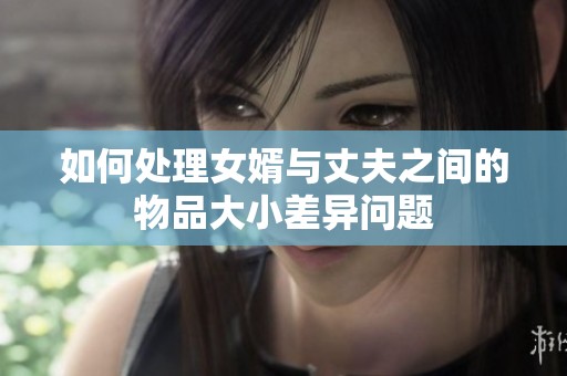 如何处理女婿与丈夫之间的物品大小差异问题