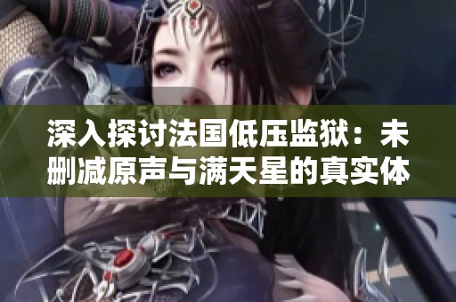 深入探讨法国低压监狱：未删减原声与满天星的真实体验
