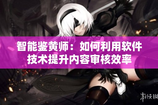智能鉴黄师：如何利用软件技术提升内容审核效率