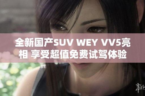 全新国产SUV WEY VV5亮相 享受超值免费试驾体验