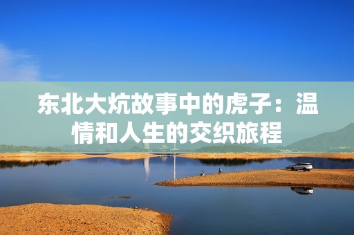 东北大炕故事中的虎子：温情和人生的交织旅程