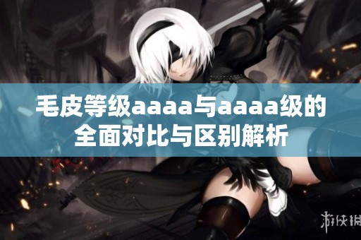 毛皮等级aaaa与aaaa级的全面对比与区别解析