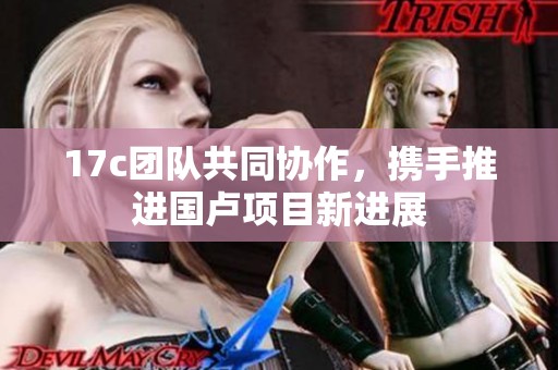 17c团队共同协作，携手推进国卢项目新进展