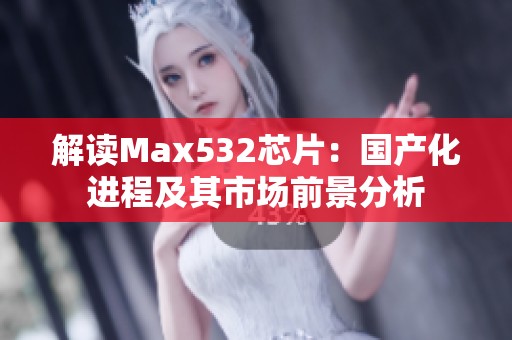 解读Max532芯片：国产化进程及其市场前景分析