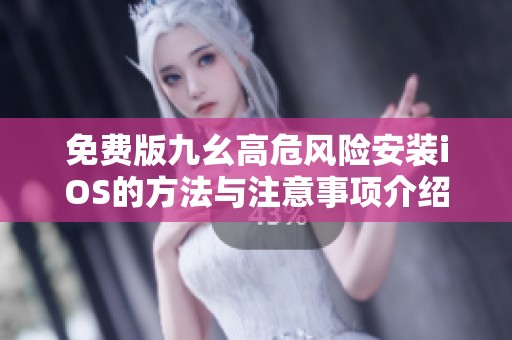 免费版九幺高危风险安装iOS的方法与注意事项介绍