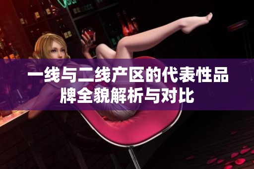 一线与二线产区的代表性品牌全貌解析与对比
