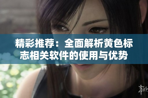 精彩推荐：全面解析黄色标志相关软件的使用与优势