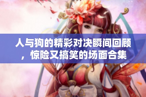 人与狗的精彩对决瞬间回顾，惊险又搞笑的场面合集