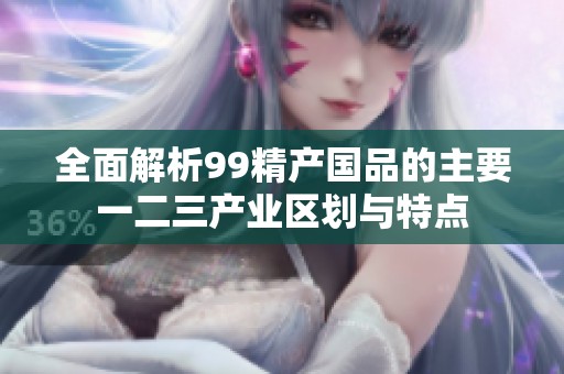 全面解析99精产国品的主要一二三产业区划与特点