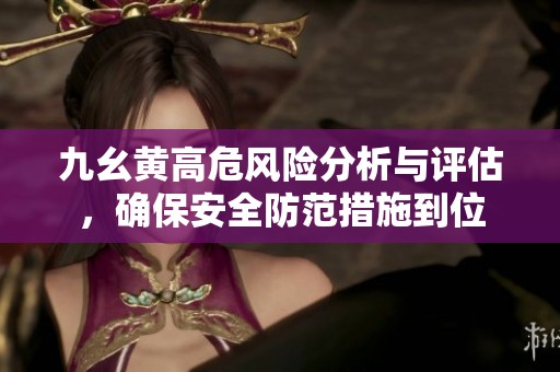 九幺黄高危风险分析与评估，确保安全防范措施到位