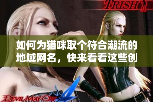 如何为猫咪取个符合潮流的地域网名，快来看看这些创意建议吧