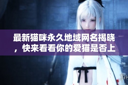 最新猫咪永久地域网名揭晓，快来看看你的爱猫是否上榜！