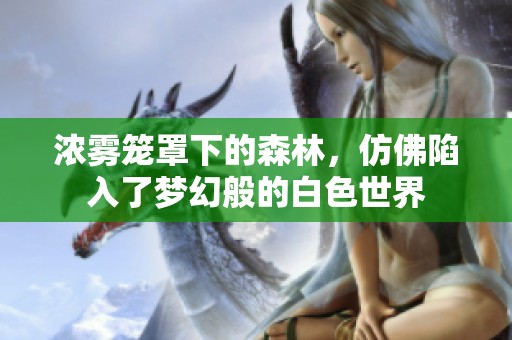 浓雾笼罩下的森林，仿佛陷入了梦幻般的白色世界