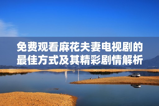 免费观看麻花夫妻电视剧的最佳方式及其精彩剧情解析