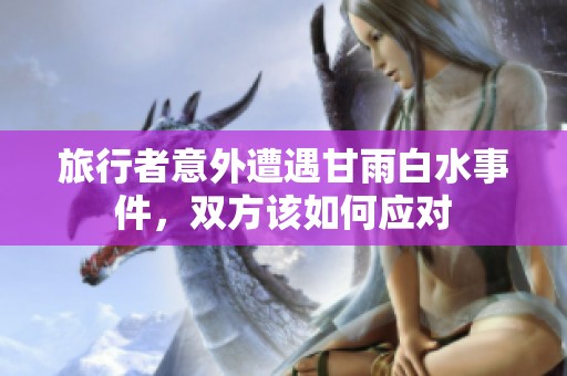 旅行者意外遭遇甘雨白水事件，双方该如何应对
