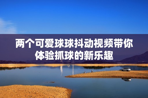 两个可爱球球抖动视频带你体验抓球的新乐趣