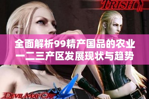 全面解析99精产国品的农业一二三产区发展现状与趋势