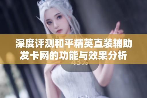 深度评测和平精英直装辅助发卡网的功能与效果分析