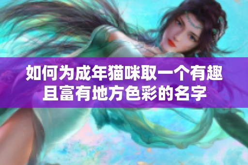 如何为成年猫咪取一个有趣且富有地方色彩的名字