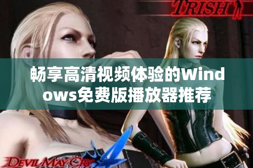 畅享高清视频体验的Windows免费版播放器推荐