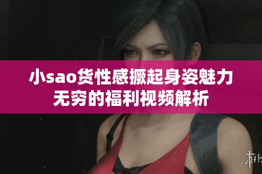 小sao货性感撅起身姿魅力无穷的福利视频解析
