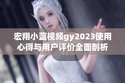 宏翔小蓝视频gy2023使用心得与用户评价全面剖析