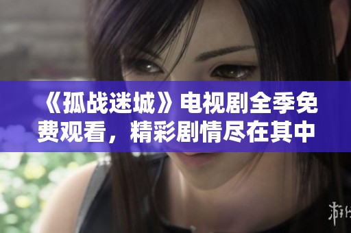 《孤战迷城》电视剧全季免费观看，精彩剧情尽在其中