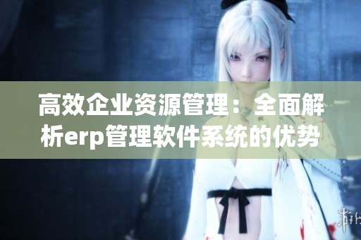 高效企业资源管理：全面解析erp管理软件系统的优势与应用
