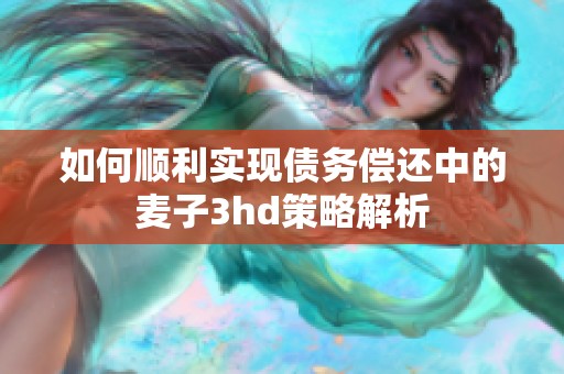 如何顺利实现债务偿还中的麦子3hd策略解析