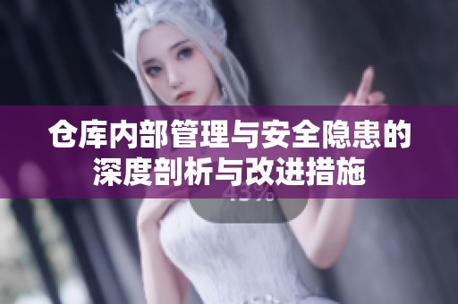 仓库内部管理与安全隐患的深度剖析与改进措施