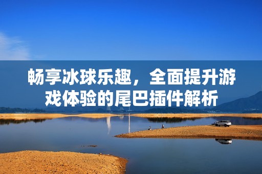 畅享冰球乐趣，全面提升游戏体验的尾巴插件解析