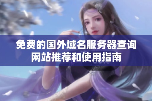 免费的国外域名服务器查询网站推荐和使用指南