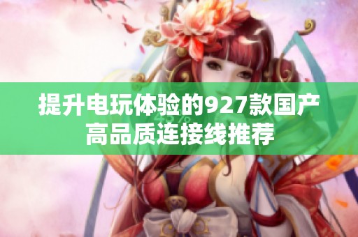 提升电玩体验的927款国产高品质连接线推荐