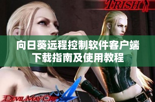 向日葵远程控制软件客户端下载指南及使用教程
