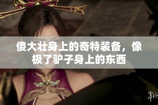 傻大壮身上的奇特装备，像极了驴子身上的东西