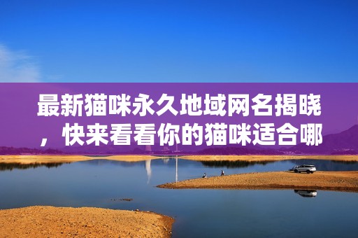 最新猫咪永久地域网名揭晓，快来看看你的猫咪适合哪个名字