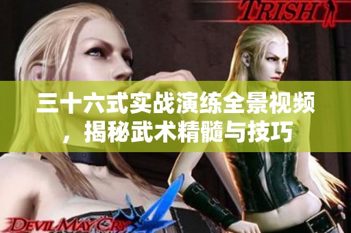 三十六式实战演练全景视频，揭秘武术精髓与技巧