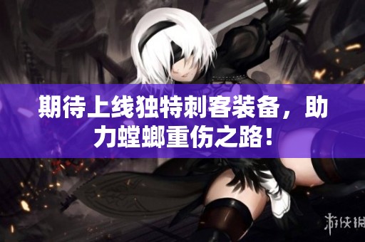 期待上线独特刺客装备，助力螳螂重伤之路！