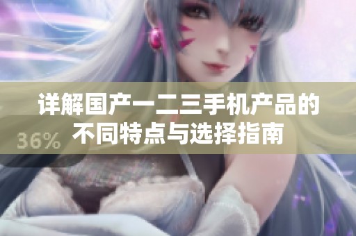 详解国产一二三手机产品的不同特点与选择指南