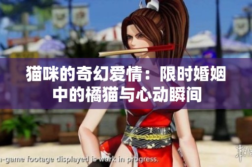 猫咪的奇幻爱情：限时婚姻中的橘猫与心动瞬间